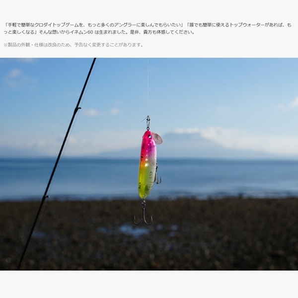 イネムン　６０